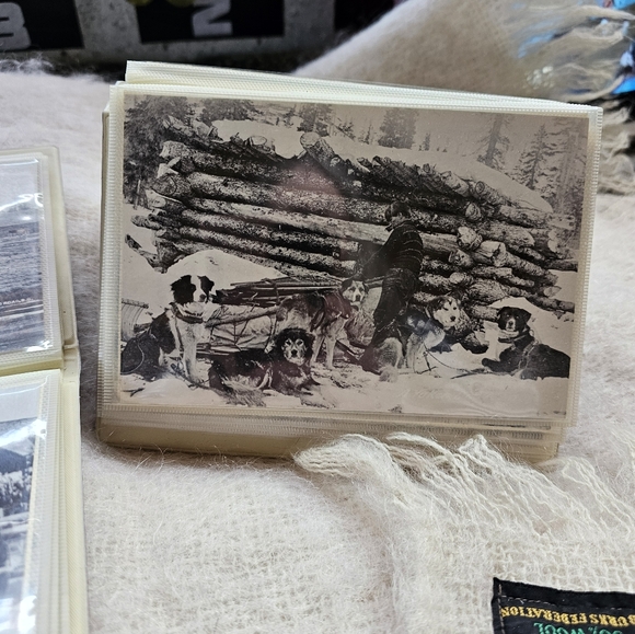 Vintage Pioneer Life Postcards - Picture 4 of 5